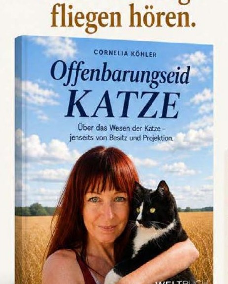 Originalcover des Buches Offenbarungseid Katze von Cornelia Köhler